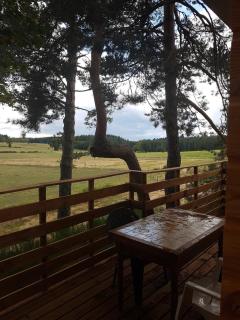 Chalet, chrysalide, ferme de Vovady - 6