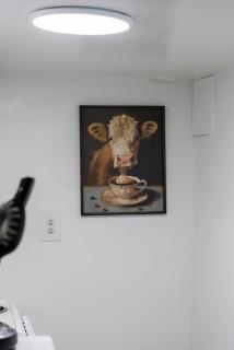 Cozy Studio in Guesthouse Near Penn Station - 6