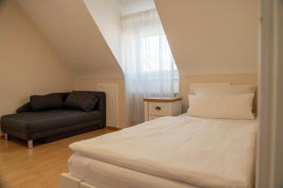 Reussenstein Apartment mit Idyllischen Garten - 1