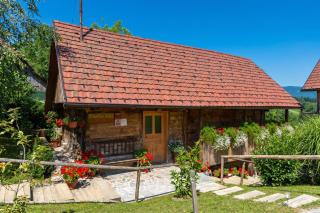 Homestead Bahor With Whirlpool - Happy Rentals - 9