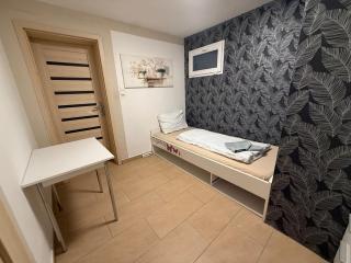 Modernes Apartment Schwanenstadt - 2