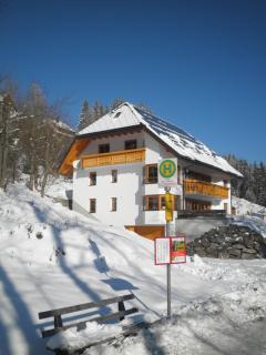 Ferienwohnungen DaHeim Titisee - Titisee-Neustadt - 9