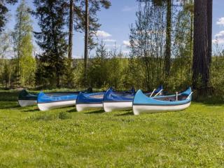 5 star holiday home in SKATTUNGBYN ORSA - 6