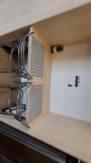 Luxury Suite at Cumbaya Park - 1