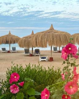Princess Resort Hurghada Private Beach & Pools - Hurghada - 8