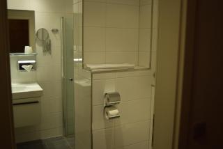 Hotel Zum Rosengarten - Darmstadt - 9