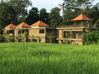 ElForest Villa Ubud, Payangan - 5