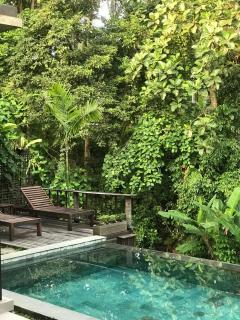 ElForest Villa Ubud, Payangan - 6