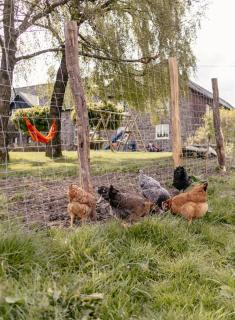 Victorhof Landurlaub Deine Auszeit im Grünen, umgeben von Wald & Wiesen - 1