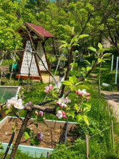 The Secret Garden House - 0