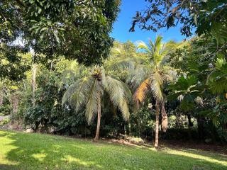 Coco Palm - Tropical Island Retreat - 1