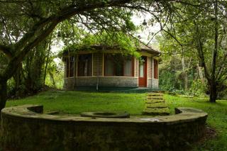 Ruhondo Island Retreat - 8
