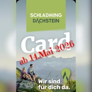 Aloha Suite - Schladming Dachstein - 9