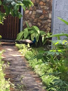 Rock Harmony Villa - 9