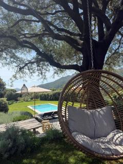 La Bergerie de l'Alivettu en Corse - Alata - 5