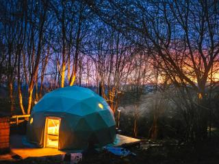 The Tree Dome - Ukc6979 - 0