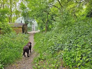 The Tree Dome - Ukc6979 - 1