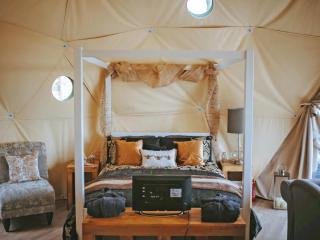 The Tree Dome - Ukc6979 - 7