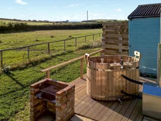 Bea's Shepherds Hut - Uk51295 - 9