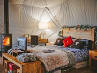 The Star Dome - Ukc6978 - 7