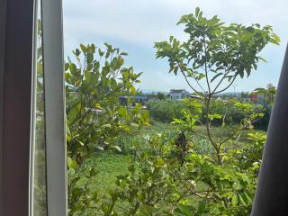 Minh Tuệ - 1