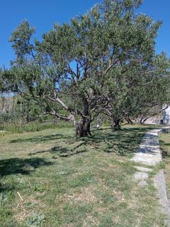 Dolce far niente studio apartman - 8