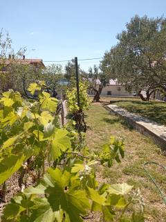 Dolce far niente studio apartman - 6