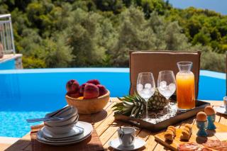 Villa Samsel - amazing seaviews, infinity pool, privacy, close to the beach - Nydri - 1