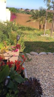 Calvi Patio villa F3 avec piscine - 5