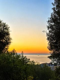 Appartement T3 de charme avec Terrasse - Hauteurs Bastia - 8