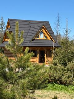 Luxury chalet WRÓBLOWA CHAŁUPKA przy Dolinie Chochołowskiej - 0