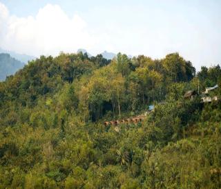 Cozzy Bitu Garden - 9