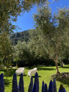 Villa Pasitea - Nature & Sea Retreat in Gargano, Puglia - 7