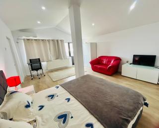 Modern Apartment in Voluntari-Near Bucharest - 9