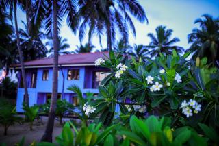 Nayan's Paradise - 1