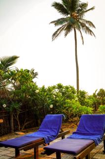 Nayan's Paradise - 4