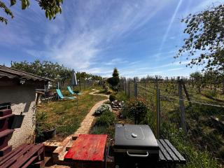 Winery oasis - 5