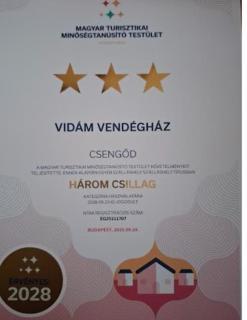 Vidam - 9