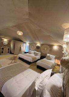 Sahara Crown Luxury Camp - 3