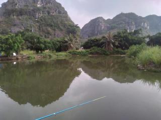 Tràng An Gold - 3