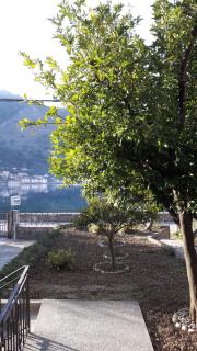 Apartments Pejanović - Kotor - 3