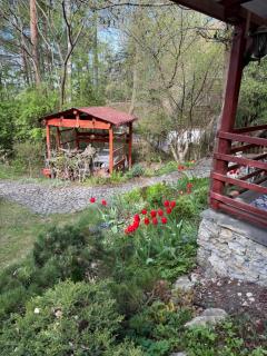 Bizo House - JACUZZI I SAUNA - 2