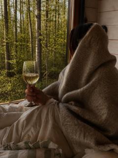 La Cabane de Gus - Tiny House Insolite au cœur des Vignes de Champagne - Vue Panoramique - 1h30 de Paris - 9