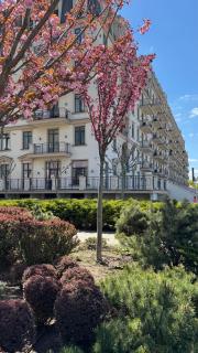 Provence apartments Avtorskii - 8