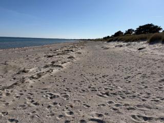 200m from the beach, Marielyst - 7