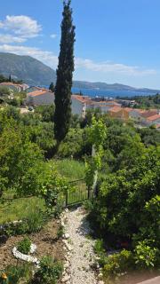 Scents of nature-Dubrovnik area - 9