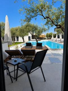 The Olive Hills - 9