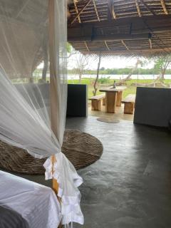 Foresta Yala - 3