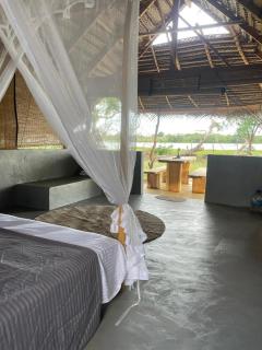 Foresta Yala - 1