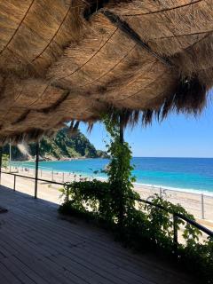 Oasis on the Beach - 0